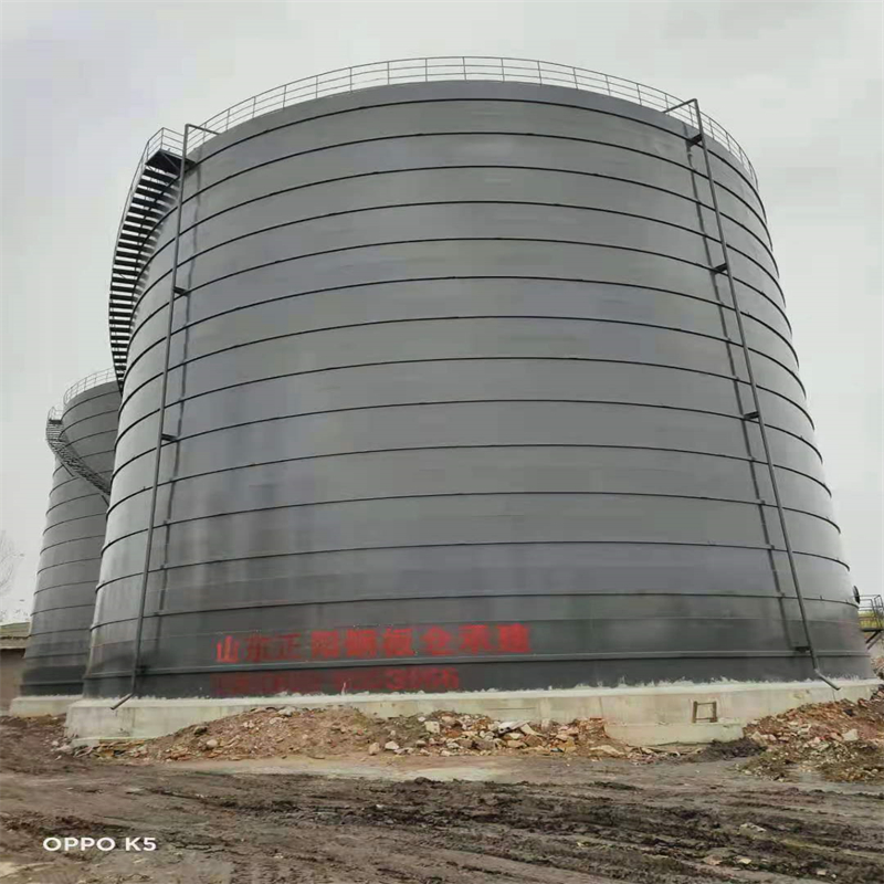 九湖镇3万吨大型钢板库